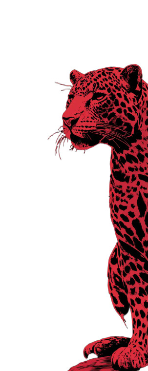 Red Jaguar Vinyl Car Decal Sticker – Waterproof & UV-Resistant 5.76"