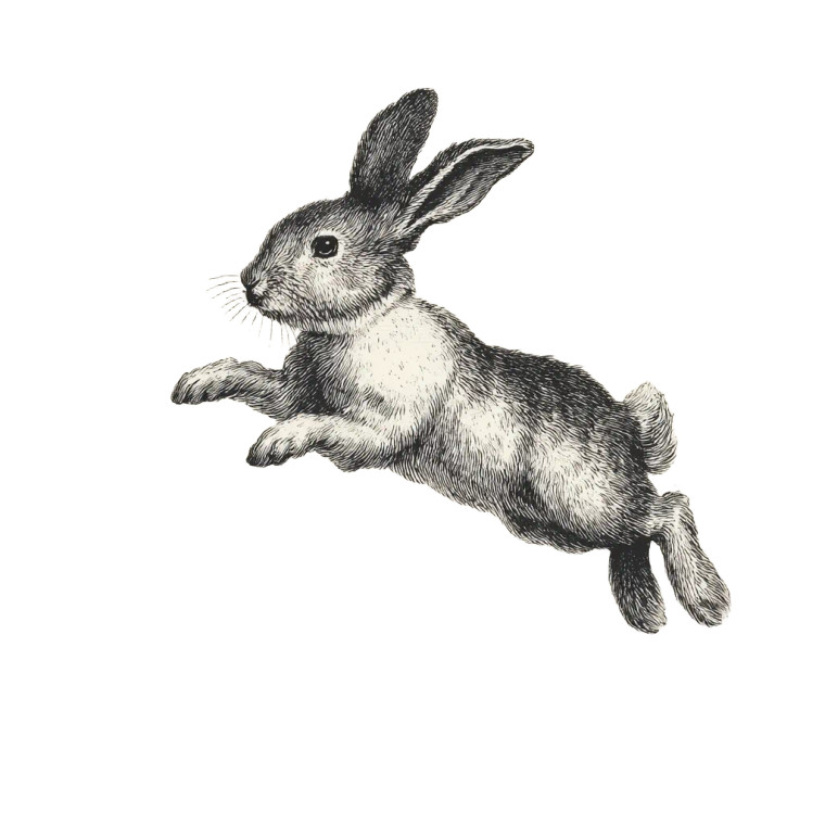 Vintage Bunny Jump Vinyl Car Decal Sticker – Waterproof & UV-Resistant 6.826666666666667"