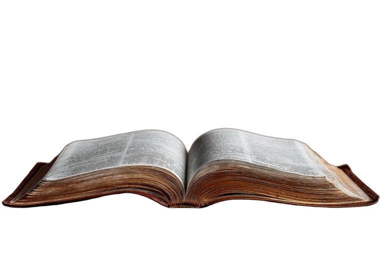 Open Bible V3 Vinyl Car Decal Sticker – Waterproof & UV-Resistant 2.986666666666667"