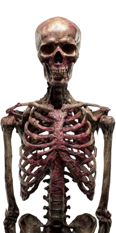 Horror Skeleton Pose Vinyl Car Decal Sticker – Waterproof & UV-Resistant 5.12"