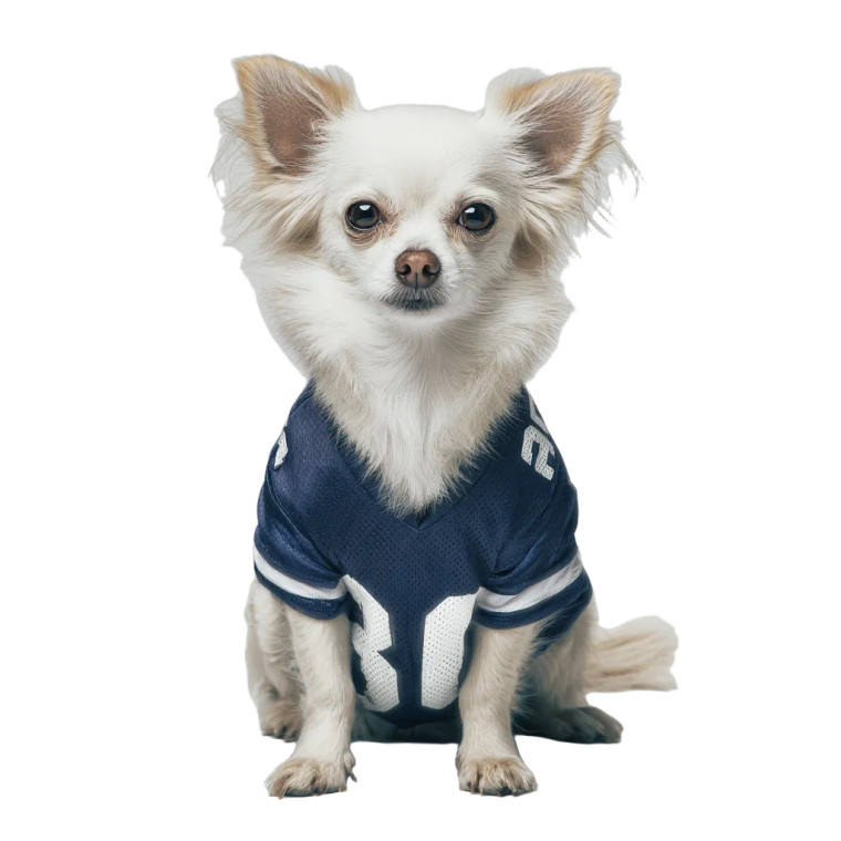 Chihuahua In Jersey Vinyl Car Decal Sticker – Waterproof & UV-Resistant 3.4133333333333336"