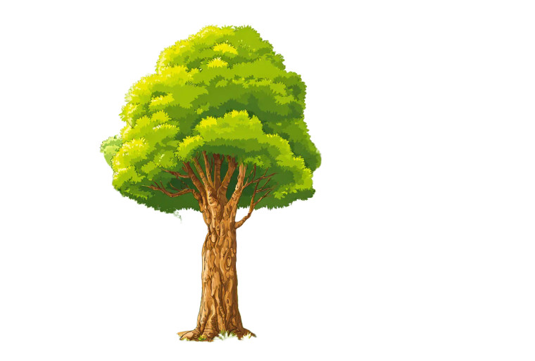 Forest Illustration Vinyl Car Decal Sticker – Waterproof & UV-Resistant 2.986666666666667"