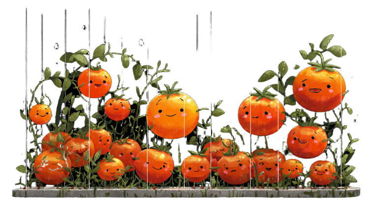 Tomato Exercise Art Vinyl Car Decal Sticker – Waterproof & UV-Resistant 2.72"