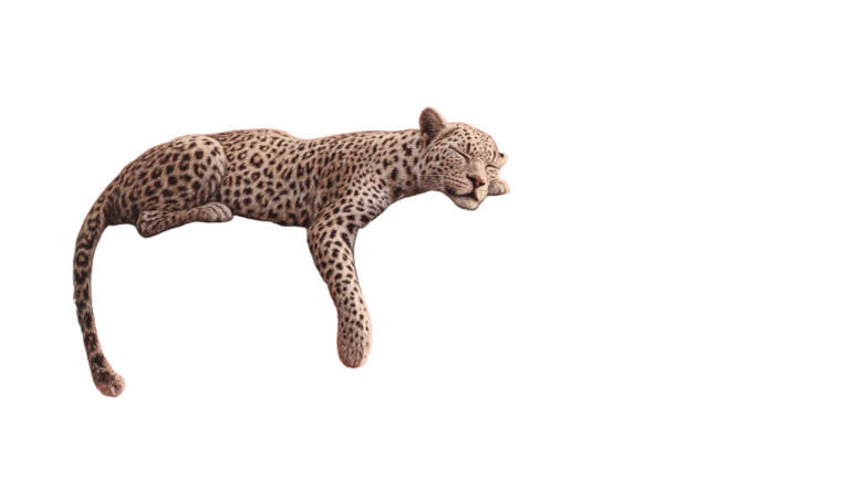 Pink Leopard Lounging Vinyl Car Decal Sticker – Waterproof & UV-Resistant 2.8266666666666667"