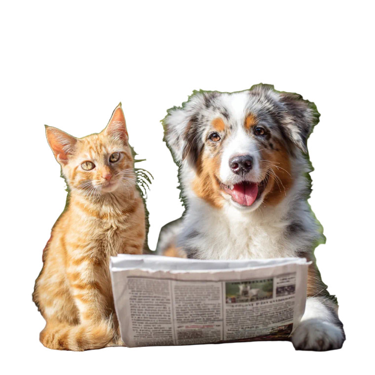 Puppy Delivers Newspaper Vinyl Car Decal Sticker – Waterproof & UV-Resistant 3.4133333333333336"