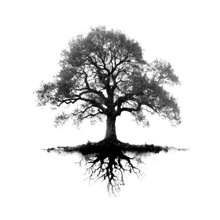 Tree Roots Silhouette Vinyl Car Decal Sticker – Waterproof & UV-Resistant 3.4133333333333336"