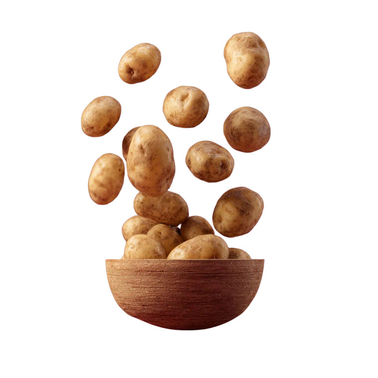Potatoes V2 Vinyl Car Decal Sticker – Waterproof & UV-Resistant 3.4133333333333336"