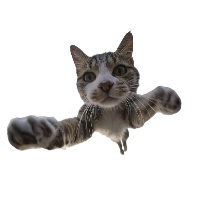 Ninja Cat Parkour Vinyl Car Decal Sticker – Waterproof & UV-Resistant 6.826666666666667"