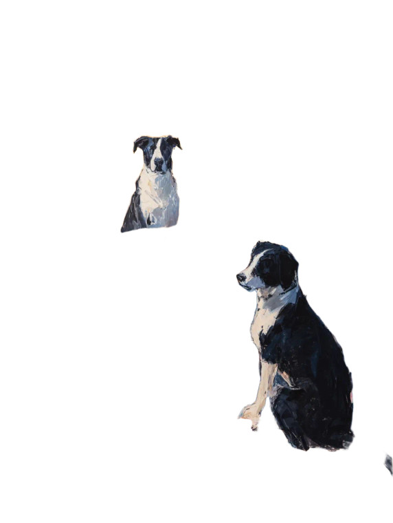 Dogs Playing Poker V12 Vinyl Car Decal Sticker – Waterproof & UV-Resistant 8.213333333333333"
