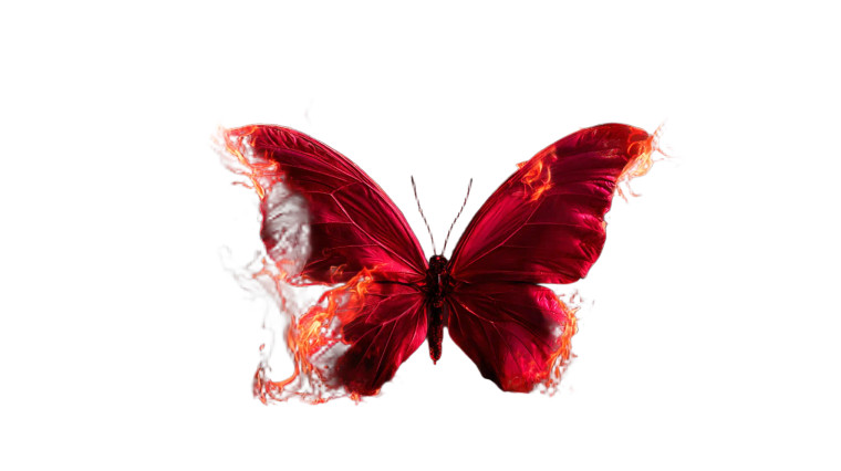 Flaming Red Butterfly Vinyl Car Decal Sticker – Waterproof & UV-Resistant 2.72"