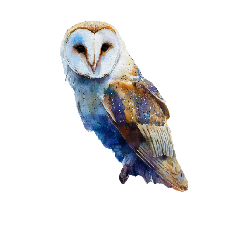 Surrealist Barn Owl Vinyl Car Decal Sticker – Waterproof & UV-Resistant 3.4133333333333336"