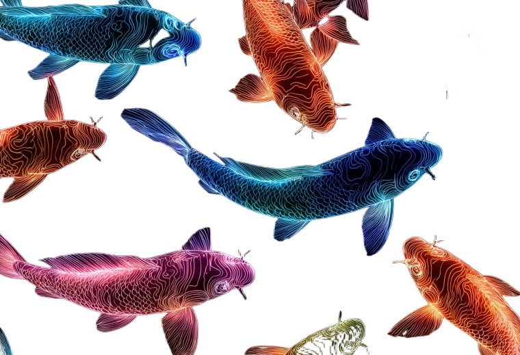 Neon Koi Pattern Vinyl Car Decal Sticker – Waterproof & UV-Resistant 2.986666666666667"