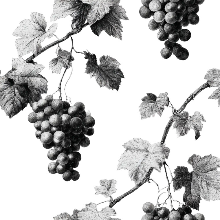 Grape Vine Engraving Vinyl Car Decal Sticker – Waterproof & UV-Resistant 3.4133333333333336"