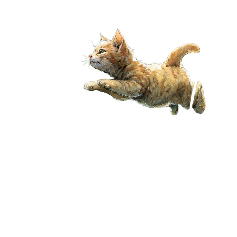 Ginger Cat Chasing Vinyl Car Decal Sticker – Waterproof & UV-Resistant 6.826666666666667"