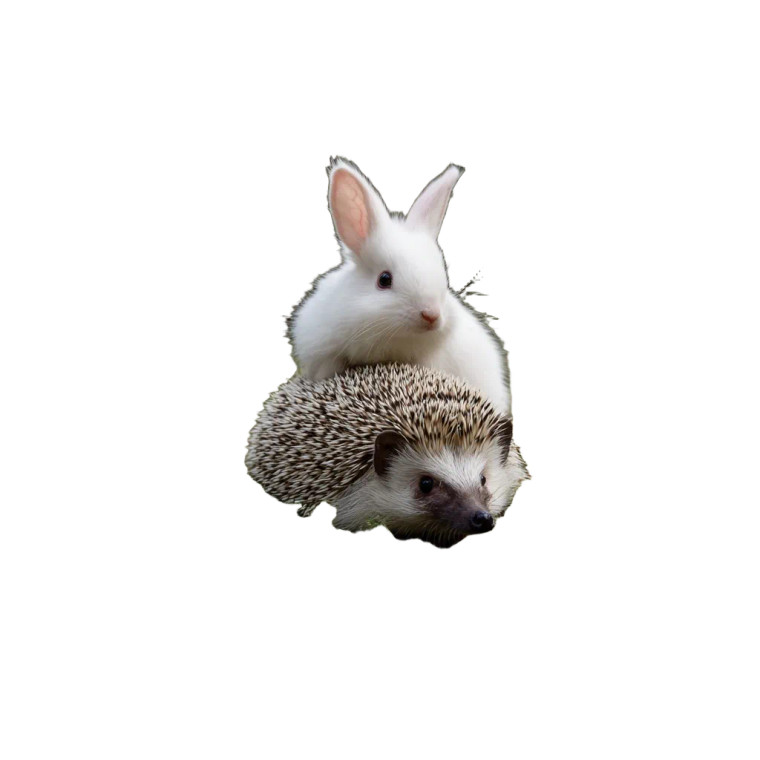 Bunny On Hedgehog Vinyl Car Decal Sticker – Waterproof & UV-Resistant 3.4133333333333336"
