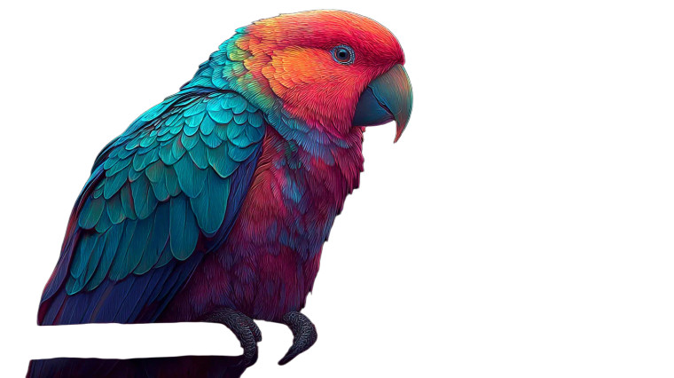 Rainbow Macaw Parrot Vinyl Car Decal Sticker – Waterproof & UV-Resistant 5.4