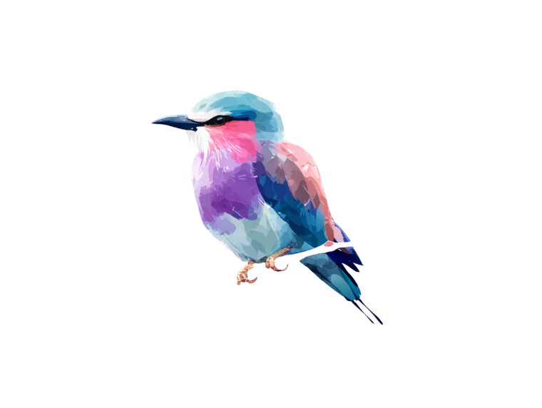 Futuristic Colorful Bird Vinyl Car Decal Sticker – Waterproof & UV-Resistant 6.1866666666666665"