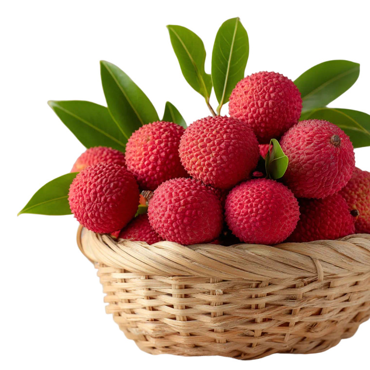 Fresh Lychees Basket Vinyl Car Decal Sticker – Waterproof & UV-Resistant 3.4133333333333336"