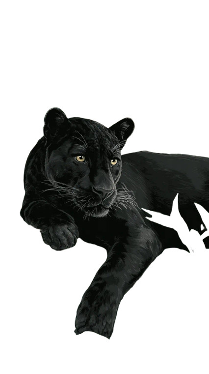 Lazy Panther Vinyl Car Decal Sticker – Waterproof & UV-Resistant 4.8533333333333335"
