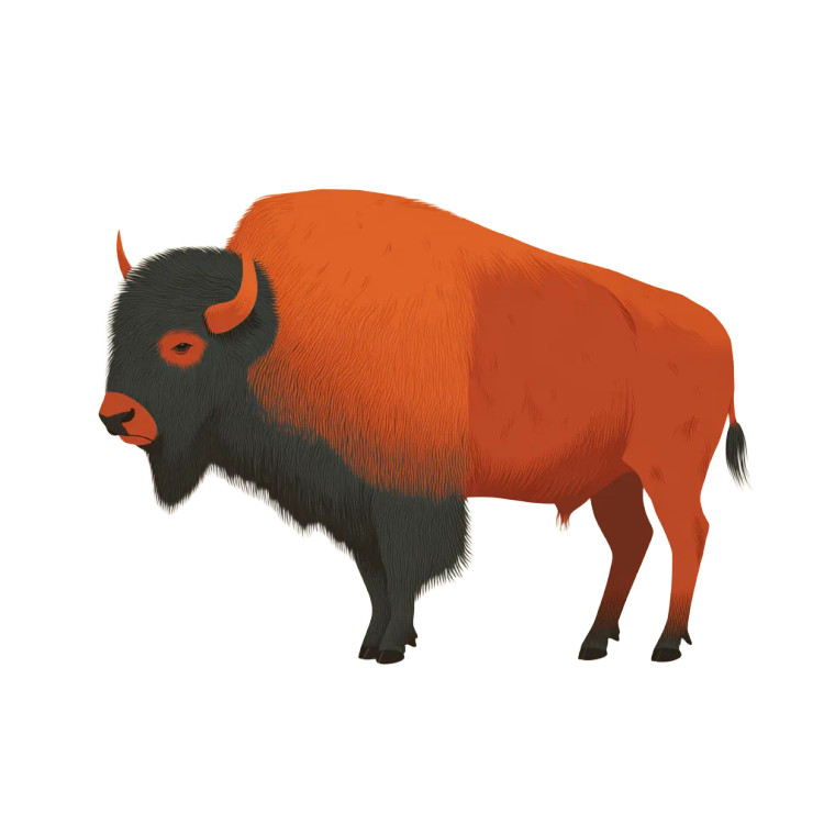 Orange Bison Vinyl Car Decal Sticker – Waterproof & UV-Resistant 3.4133333333333336"