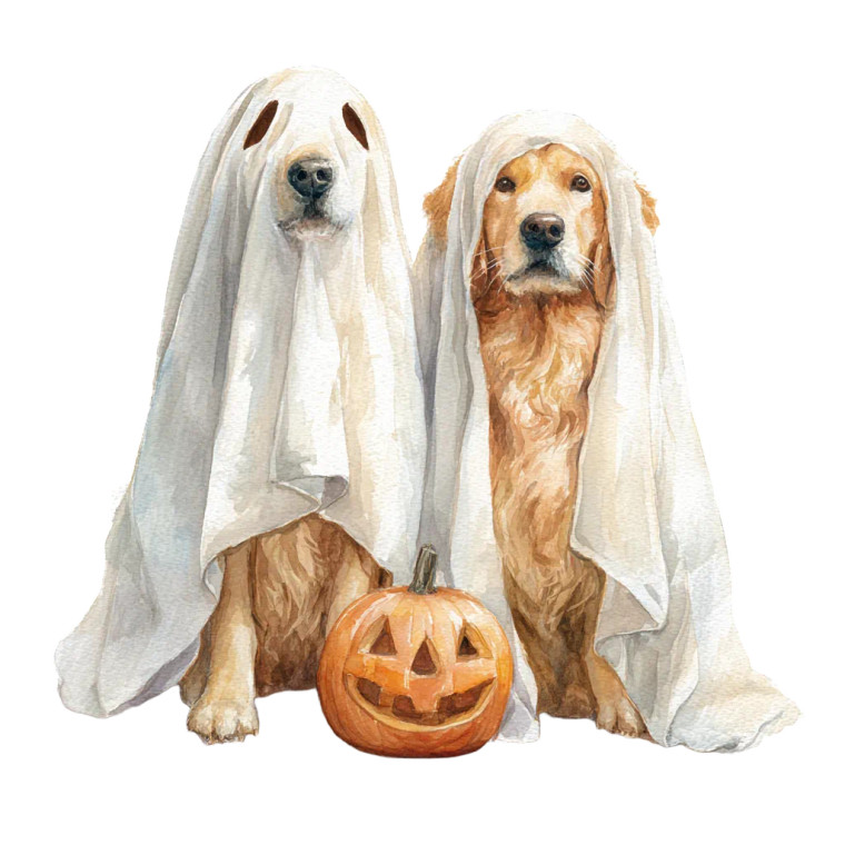 Ghostly Golden Retrievers Vinyl Car Decal Sticker – Waterproof & UV-Resistant 6.826666666666667"