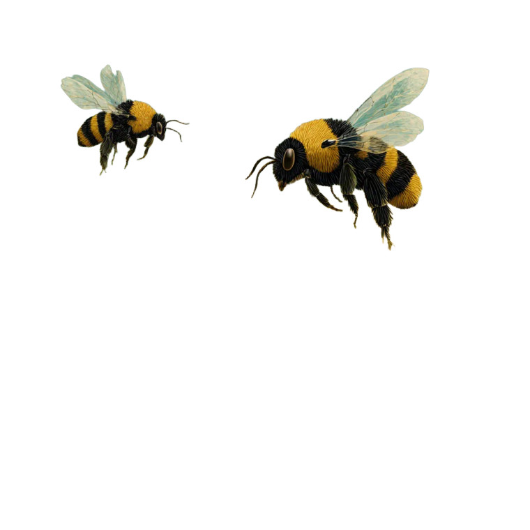 Bee Pollination Process Vinyl Car Decal Sticker – Waterproof & UV-Resistant 6.826666666666667"
