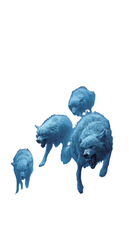 Silver Wolves Snarling Vinyl Car Decal Sticker – Waterproof & UV-Resistant 4.8533333333333335"