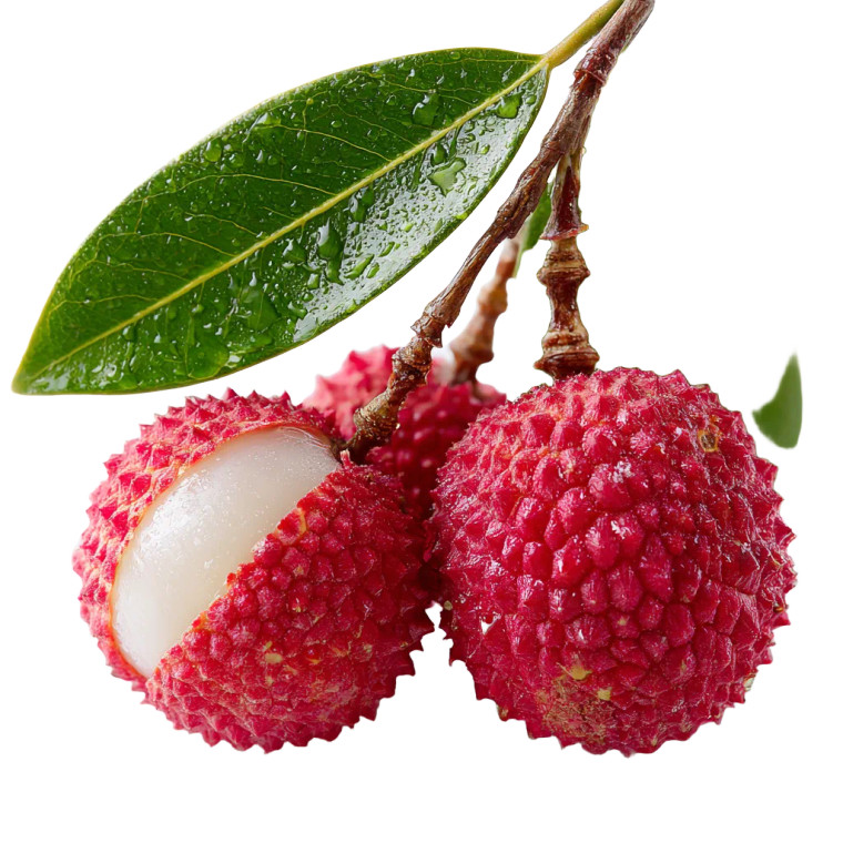 Fresh Lychees Vinyl Car Decal Sticker – Waterproof & UV-Resistant 3.4133333333333336"