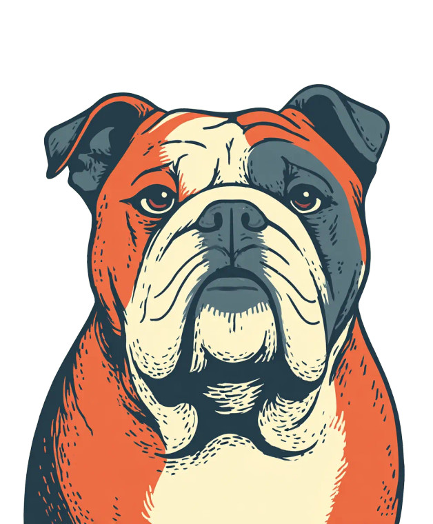 Bull Dog Vinyl Car Decal Sticker – Waterproof & UV-Resistant 8.0"