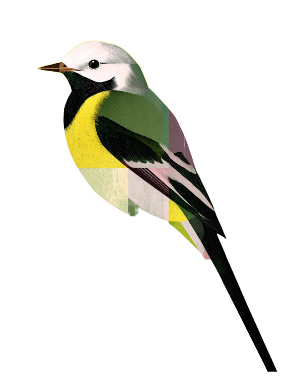 Geometric Wagtail Vinyl Car Decal Sticker – Waterproof & UV-Resistant 8.213333333333333"