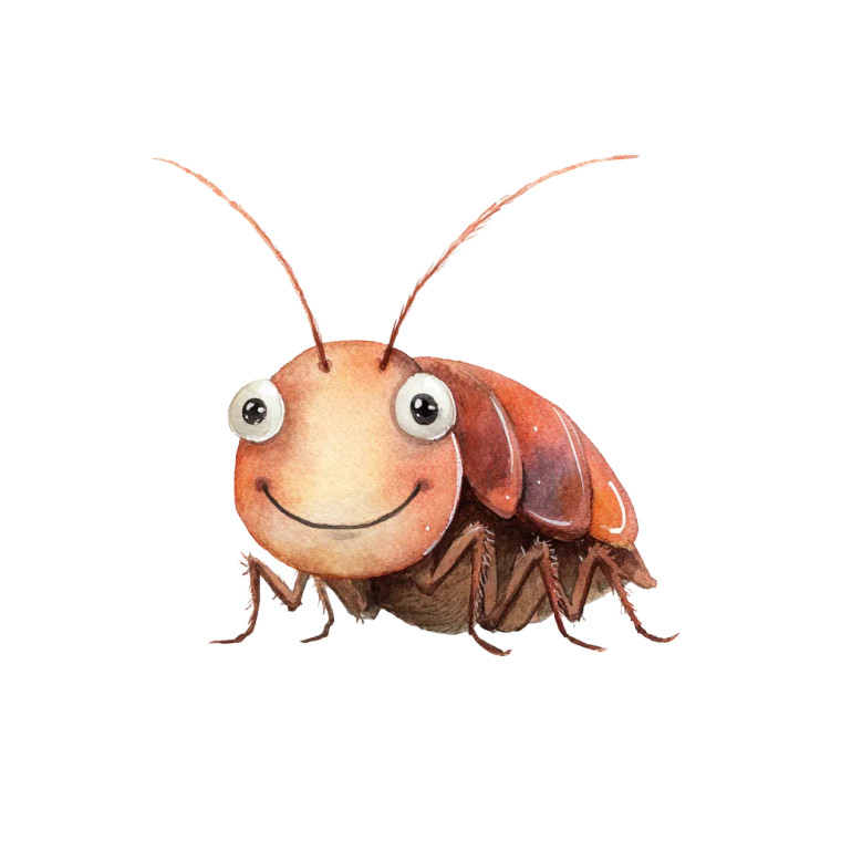 Smiling Cockroach Vinyl Car Decal Sticker – Waterproof & UV-Resistant 3.4133333333333336"