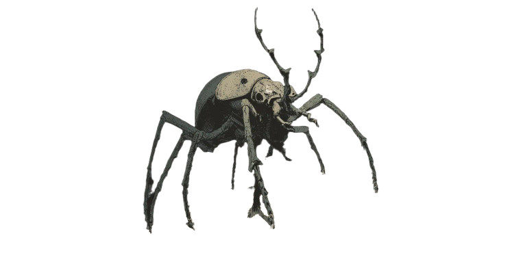 Terrifying Scarab Beetle Vinyl Car Decal Sticker – Waterproof & UV-Resistant 2.56"