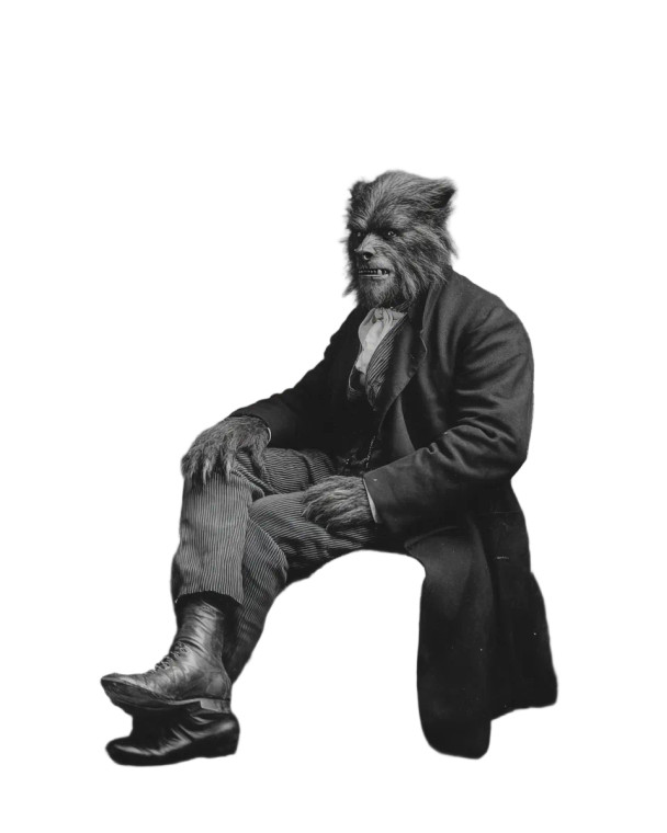 Wolf-Man Portrait Vinyl Car Decal Sticker – Waterproof & UV-Resistant 8.0"