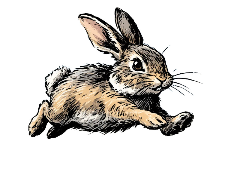 Cartoon Rabbit V5 Vinyl Car Decal Sticker – Waterproof & UV-Resistant 6.1866666666666665"