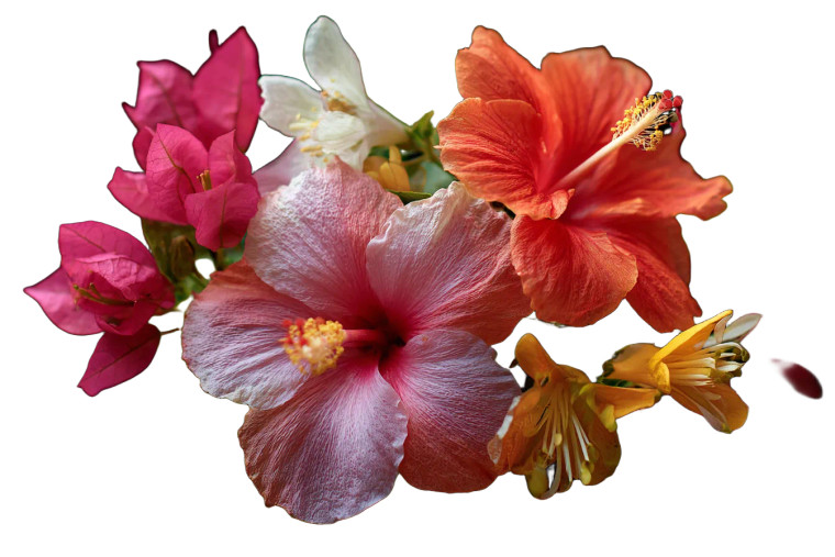 Blooming Wildflowers Vinyl Car Decal Sticker – Waterproof & UV-Resistant 2.986666666666667"