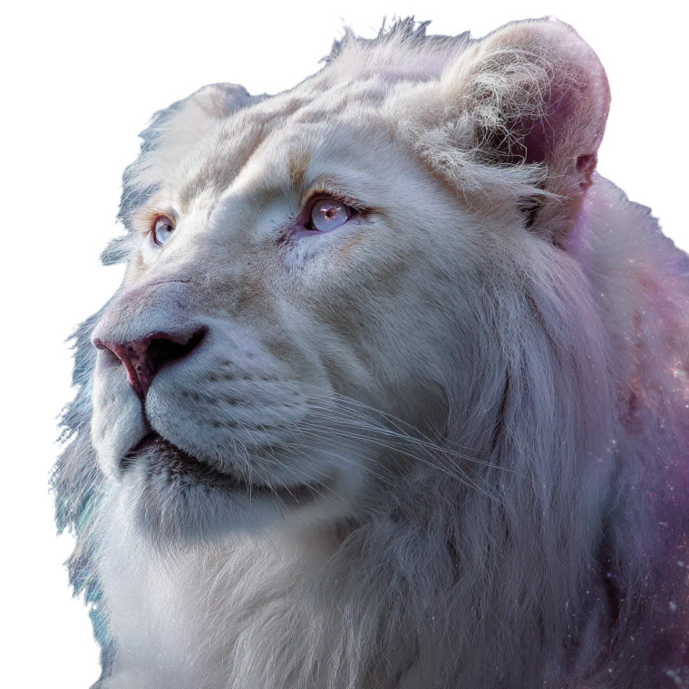 Cosmic White Lion Vinyl Car Decal Sticker – Waterproof & UV-Resistant 3.4133333333333336"