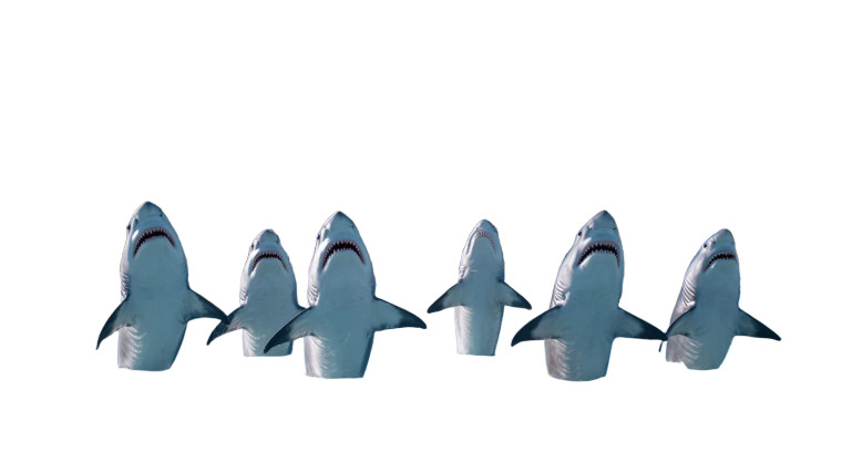 Dancing Shark Flamenco Vinyl Car Decal Sticker – Waterproof & UV-Resistant 5.4