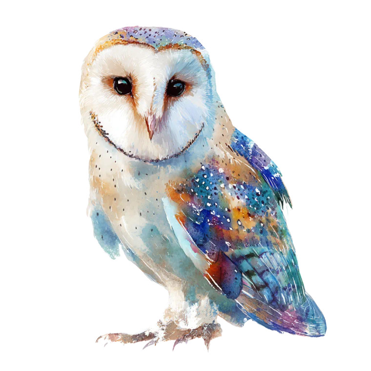 Impressionist Owl Vinyl Car Decal Sticker – Waterproof & UV-Resistant 3.4133333333333336"