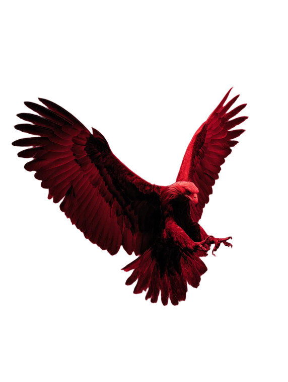 Soaring Eagle V9 Vinyl Car Decal Sticker – Waterproof & UV-Resistant 8.213333333333333"