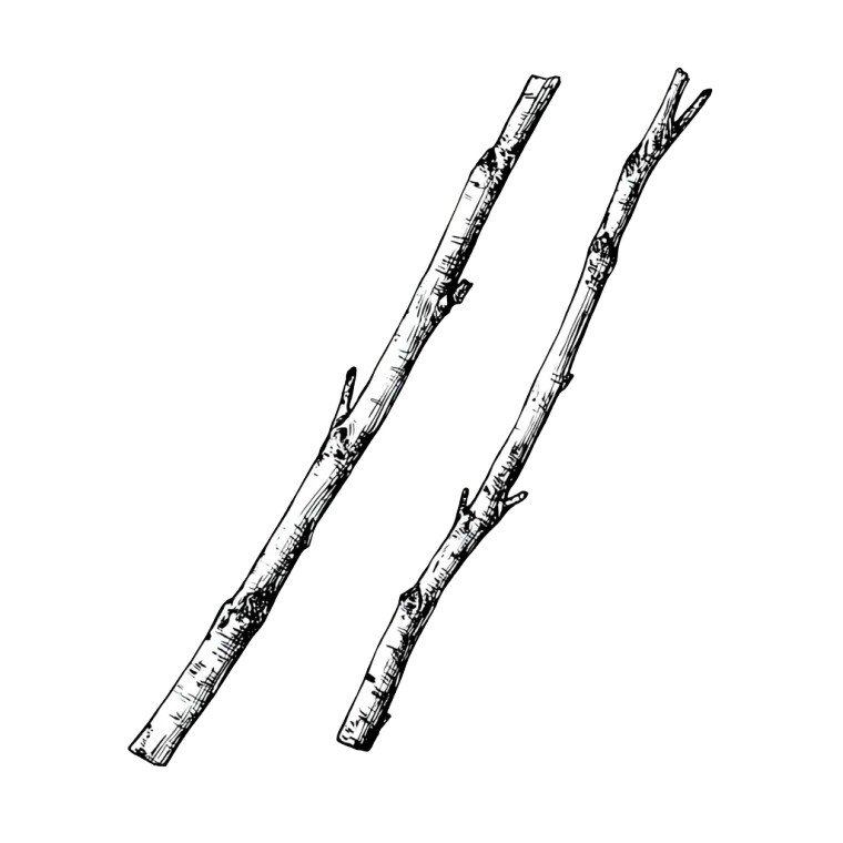 Vector Tree Sticks Vinyl Car Decal Sticker – Waterproof & UV-Resistant 3.4133333333333336"