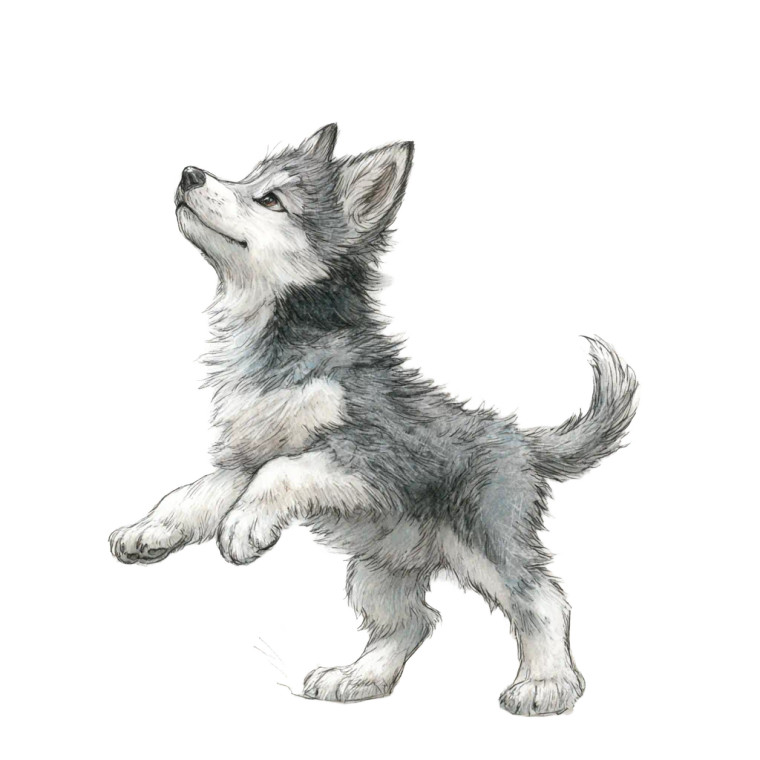 Wolf Pup Chase Vinyl Car Decal Sticker – Waterproof & UV-Resistant 3.4133333333333336"