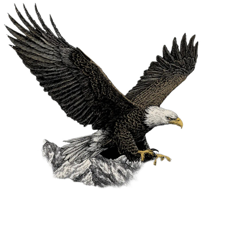 Bald Eagle Soaring V8 Vinyl Car Decal Sticker – Waterproof & UV-Resistant 6.826666666666667"