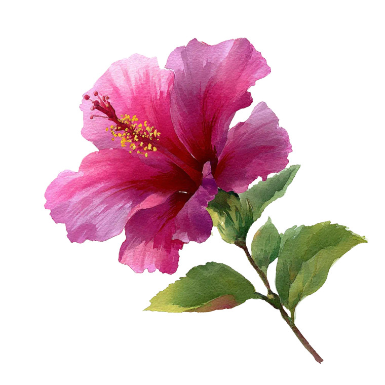 Magical Pink Hibiscus Vinyl Car Decal Sticker – Waterproof & UV-Resistant 3.4133333333333336"