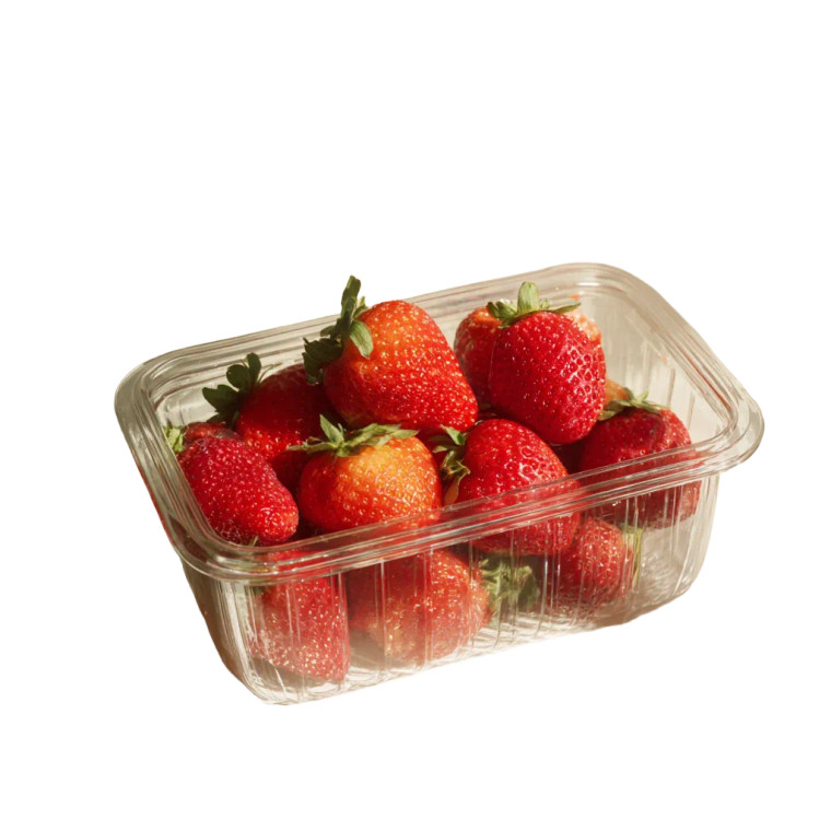 Strawberries In Tupperware Vinyl Car Decal Sticker – Waterproof & UV-Resistant 6.826666666666667"