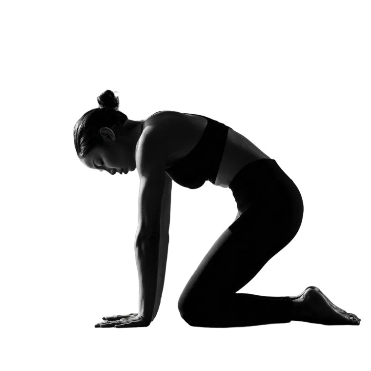 Athletic Yoga Stretch Vinyl Car Decal Sticker – Waterproof & UV-Resistant 6.826666666666667"