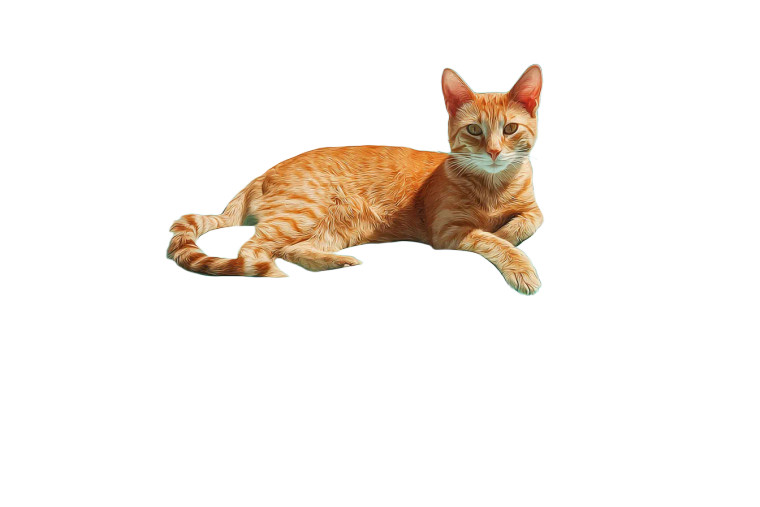 Floating Tabby Cat Vinyl Car Decal Sticker – Waterproof & UV-Resistant 2.986666666666667"