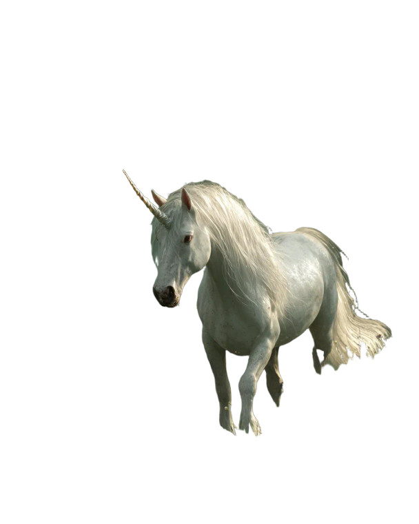 Magical Forest Unicorn V4 Vinyl Car Decal Sticker – Waterproof & UV-Resistant 4.0"