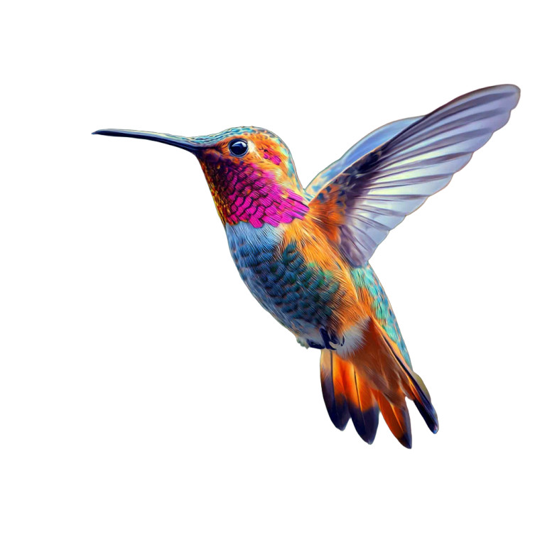 Colorful Hummingbird V8 Vinyl Car Decal Sticker – Waterproof & UV-Resistant 3.4133333333333336" Colorful Hummingbird V8 Vinyl Car Decal Sticker – Waterproof & UV-Resistant 3.4133333333333336"