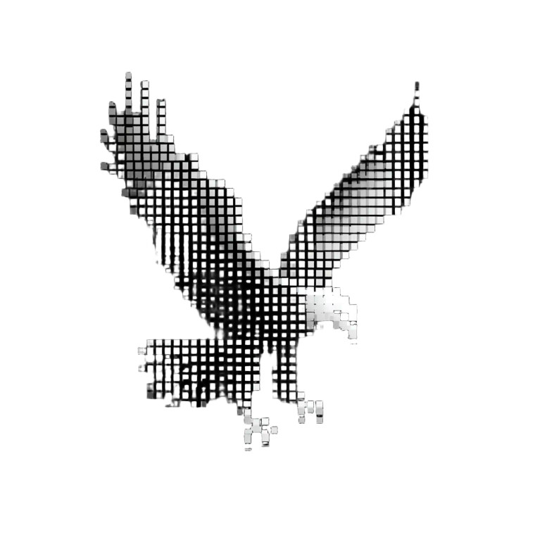 Flying Eagle Logo Vinyl Car Decal Sticker – Waterproof & UV-Resistant 3.4133333333333336"