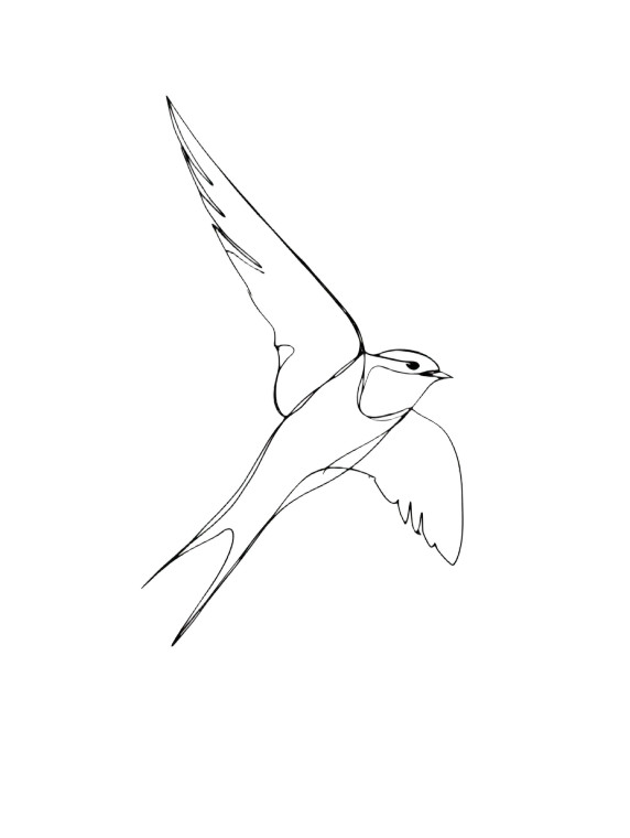 Flying Swallow Drawing V2 Vinyl Car Decal Sticker – Waterproof & UV-Resistant 8.213333333333333"